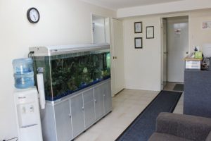 129 Clayton Street, BELLEVUE, WA 6056 AUS