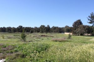 468 Great Northern Highway, MIDDLE SWAN, WA 6056 AUS
