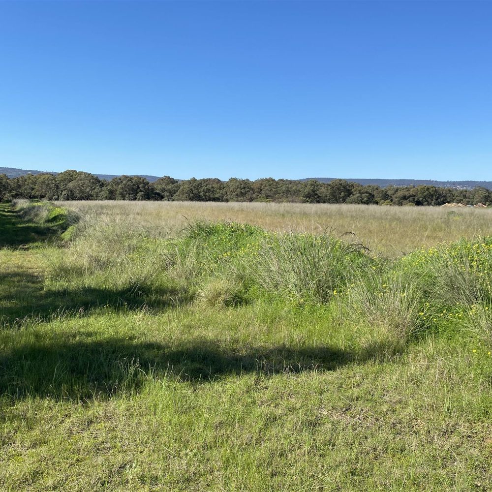 454 Great Northern Hwy, MIDDLE SWAN, WA 6056 AUS