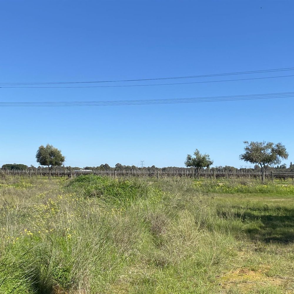 454 Great Northern Hwy, MIDDLE SWAN, WA 6056 AUS