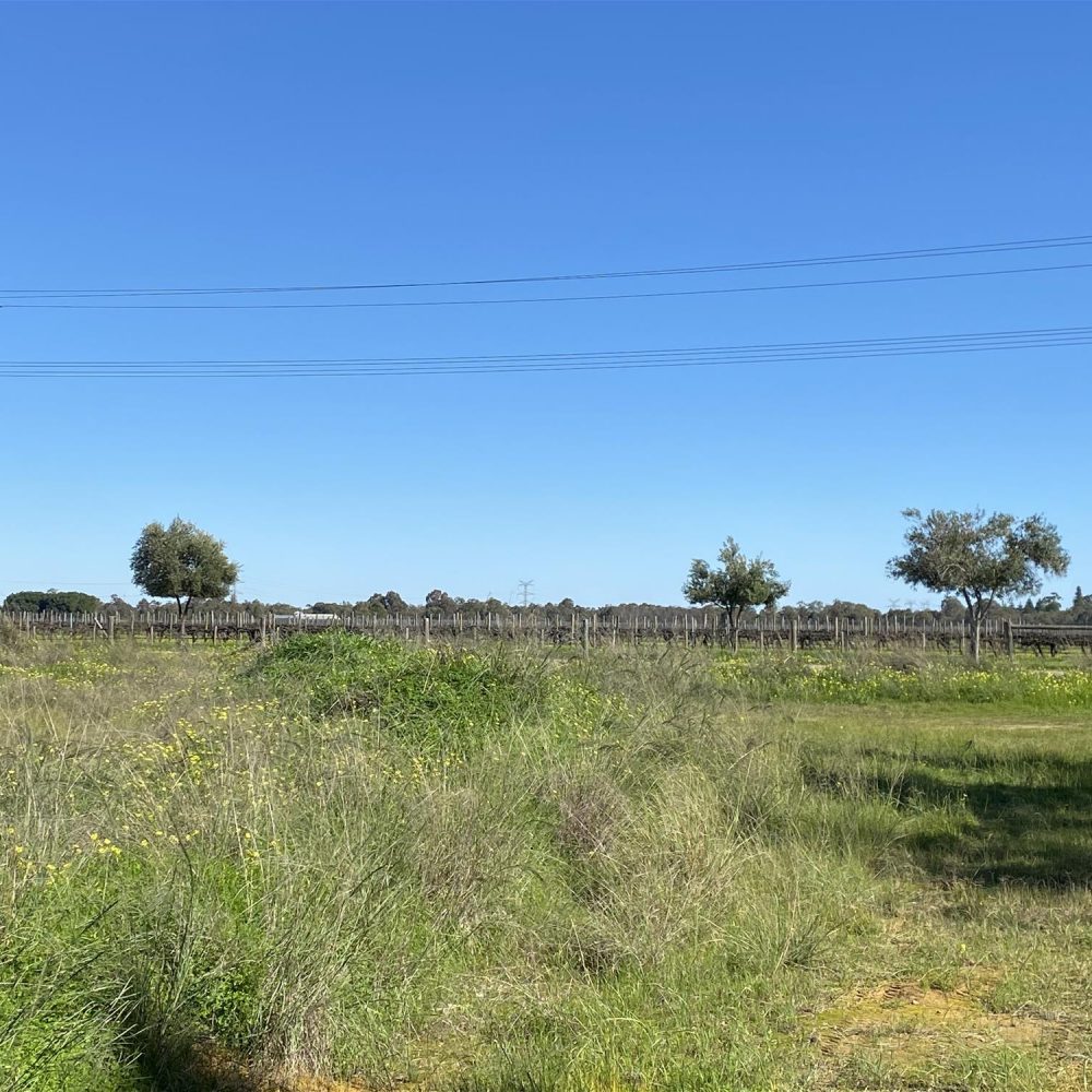454 Great Northern Hwy, MIDDLE SWAN, WA 6056 AUS