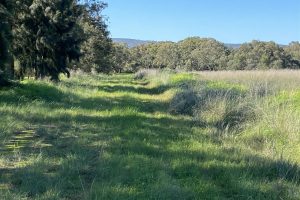 454 Great Northern Hwy, MIDDLE SWAN, WA 6056 AUS