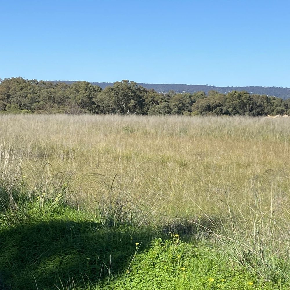 454 Great Northern Hwy, MIDDLE SWAN, WA 6056 AUS