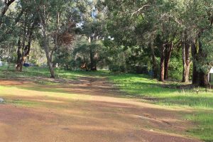 3345 Government Road, WOOROLOO, WA 6558 AUS